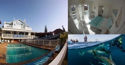 3 Days Padi Open Water Course