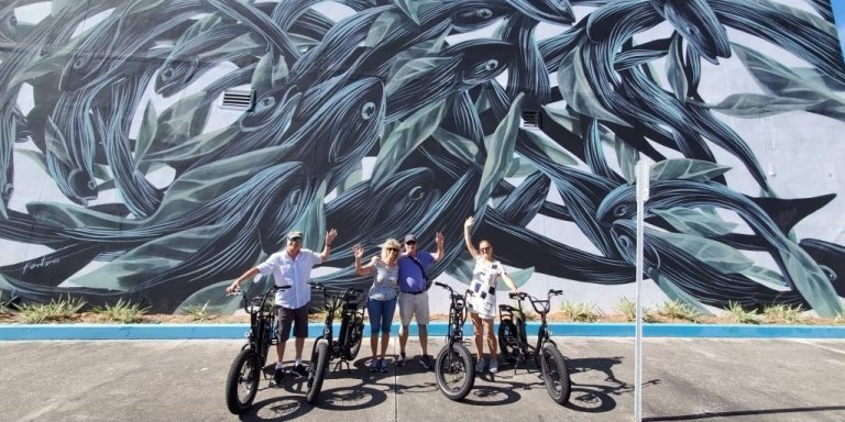 Guided E-bike Mural Tour Downtown St Pete