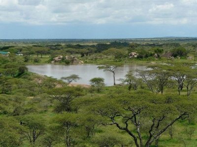 4-Days Tanzania Safaris