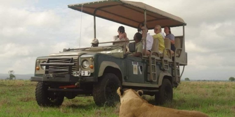 2-Day Mikumi Unforgettable Safari