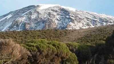 Kilimanjaro Trek via Machame (Whiskey) Route Kilimanjaro Trek via Machame (Whiskey) Route