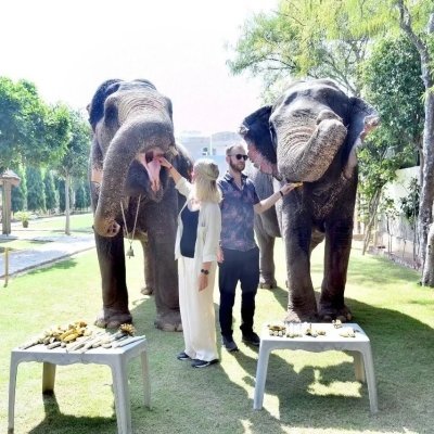 DELHI LOCAL TOURS