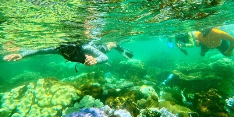 PROFESSIONAL SNORKELING to Explore Coral Spots in South Phu Quoc