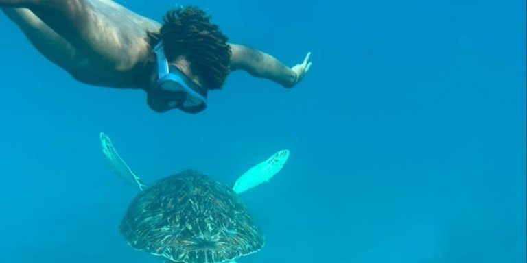 Snorkeling with Sea Turtles