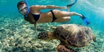 Kayak and Snorkel West Maui at Olowalu