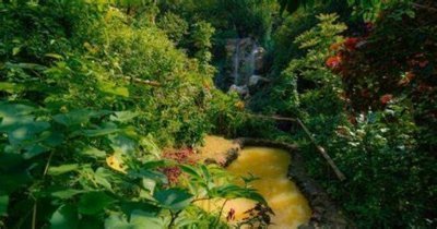 Safi Tours Nature Hike, Fruit sampling and Waterfalls