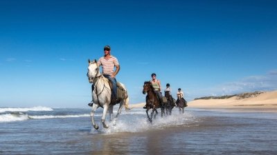 Agadir and Taghazout: 2-Hours Sunset Beach Horseback Ride