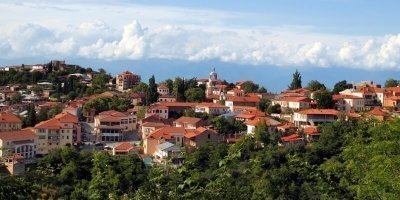 Wine, Food Tours & Tasting