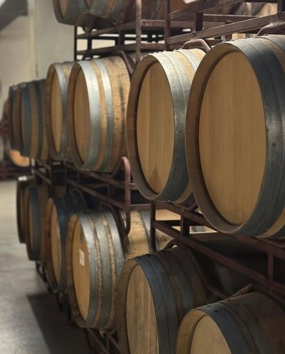 Arrábida & Sesimbra Private Tour: Wine Tasting, Nature & Beaches