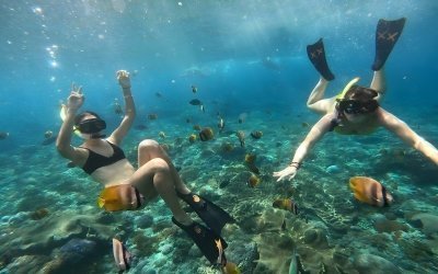Snorkeling 4 Spot In Nusa Penida: Manta Bay,Gamat,Cristal,Wall Poin