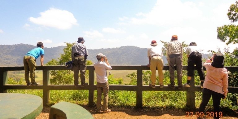 Serengeti Migration Safari