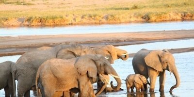 Multi-Day Tours & Cruises