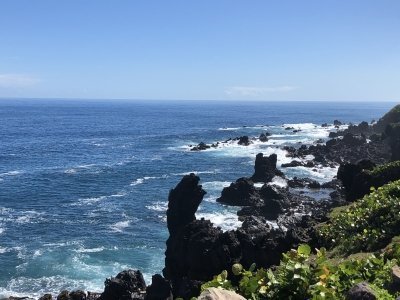 Mount Liamuiga (Volcano) Private Hike- Highest point on St Kitts