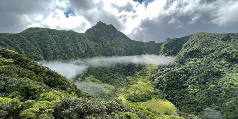 Mount Liamuiga (Volcano) Private Hike- Highest point on St Kitts