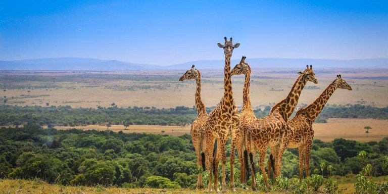 4-Day Arusha, Manyara and Tarangire NP with Lake Eyasi