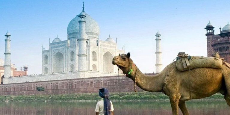 3 Days 2 Nights Golden Triangle Tour