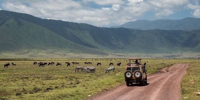 Budget 3 days Manyara, Ngorongoro and Tarangire Camping Tour