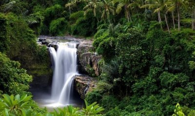 Bali Secret Waterfall Tour - Private and All-Inclusive