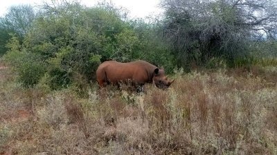 DAY TRIP TO MKOMAZI NATIONAL PARK KILIMANJARO