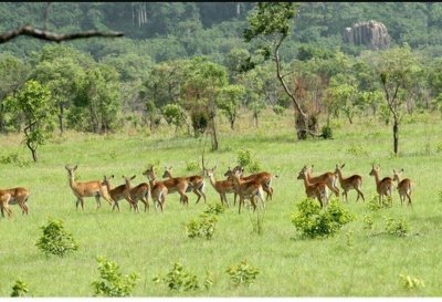 Authentic Cultural Experience of Ghana, 12 Days Authentic Cultural Experience of Ghana, 12 Days