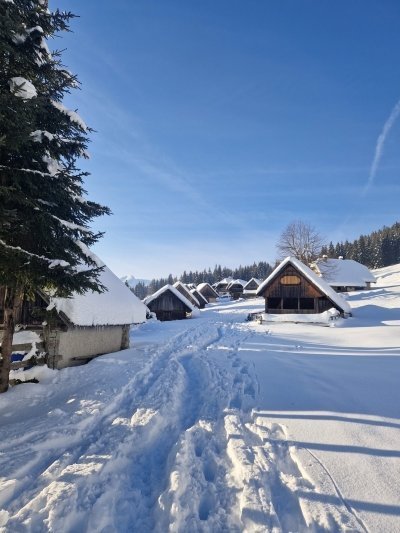 Snowshoeing in amazing Julian Alps