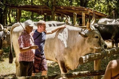 Inland Istria - Hilltop towns, Family farms & amazing Delicacies