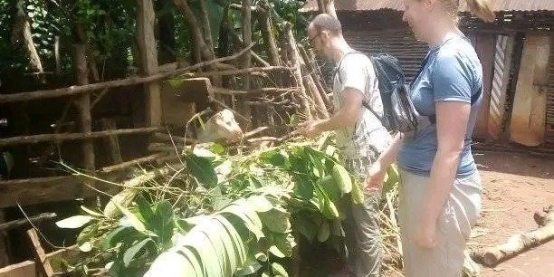 LIVE WITH LOCAL IN MOSHI KILIMANJARO