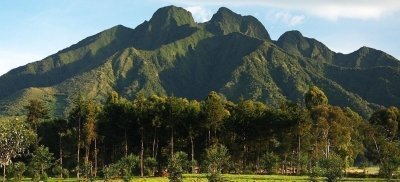 Intercultural Exchange & Primate Trekking in Rwanda Intercultural Exchange & Primate Trekking in Rwanda