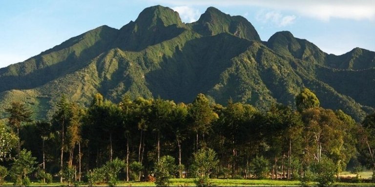 Intercultural Exchange & Primate Trekking in Rwanda