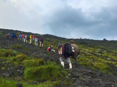 Virunga Gorillas of Congo & Nyiragongo Hike Tour Virunga Gorillas of Congo & Nyiragongo Hike Tour