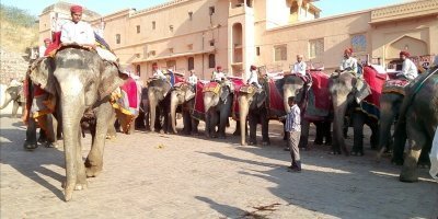 Jaipur Amer Fort, Jal Mahal & Stepwell Private Half-Day Tour