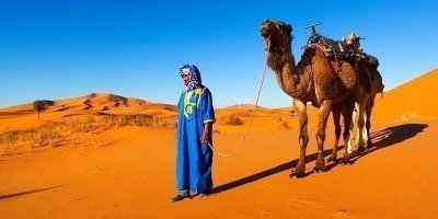 Multi-Day Tours & Cruises