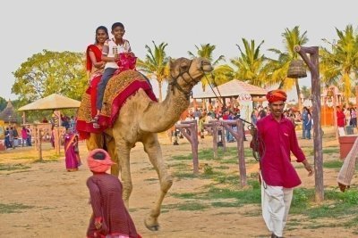 Heritage Culture of 2 Days Jaipur City Overnight Tour From Delhi