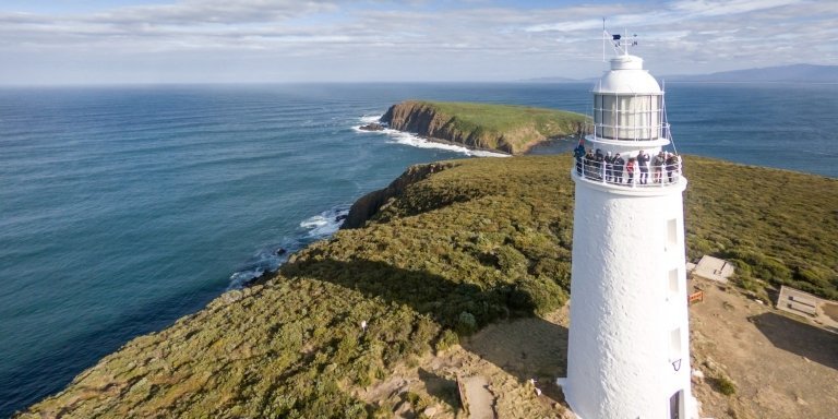 Bruny Island Food, Sightseeing & Lighthouse Tour