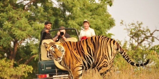 7-Days Golden Triangle with Ranthambore Tour