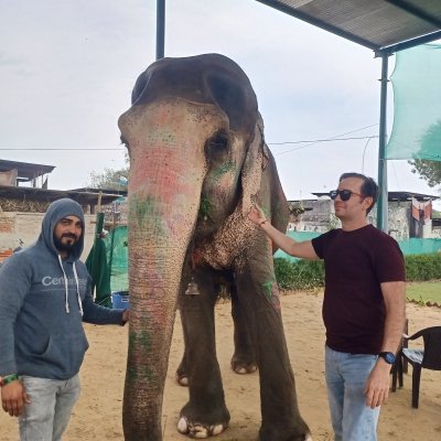 Pinkcity Private Day Tour