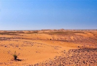 Camel Ride and Overnight in Luxury Desert Camp Camel Ride and Overnight in Luxury Desert Camp