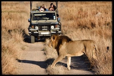 10-Day Hwange NP- Vic Falls - Chobe NP & Okavango Delta