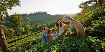 7-day Kerala Luxury Package from Cochin