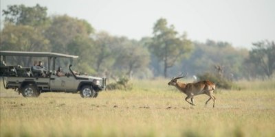 Full day Safari in Chobe National Park  from Victoria Falls