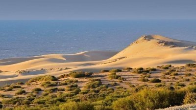 Safari tour in national Park of souss massa with small sahara