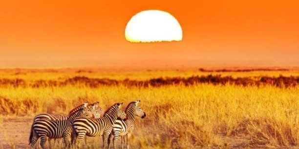 Three Days Group Tour in Tanzania Wilds