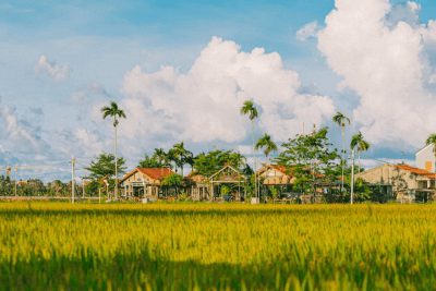 Hoi An Countryside Vespa Tour: Food, Culture & Daily Life