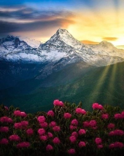 Ghandruk & Poon-Hill Trek