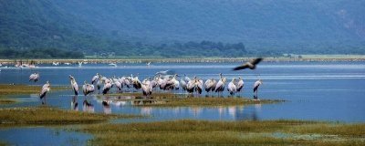 11-Day Best of Safari and Beach Adventure -mid-Range
