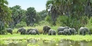 11-Day Best of Safari and Beach Adventure -mid-Range