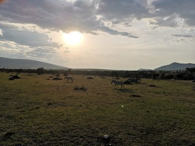 3 DAYS MAASAI MARA BUDGET EXPERIENCE