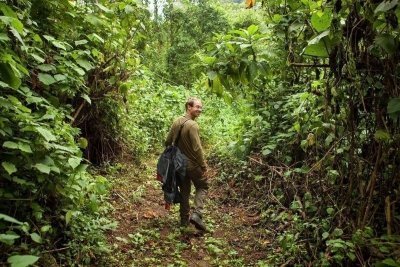 Gorilla Trekking & Batwa Budget Tour Gorilla Trekking & Batwa Budget Tour