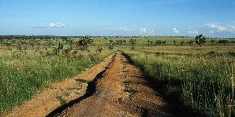 04 DAYS/03 NIGHTS MURCHISON FALLS AND CHIMPANZEE TRACKING