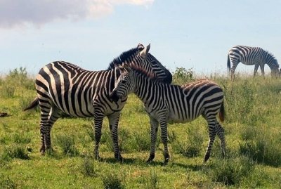 Three Days Unexpected Wonders Tour in Tanzania